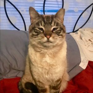 Meet your Posher, Catherine